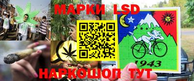 прущие крисы Можга