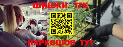 a pvp Моздок