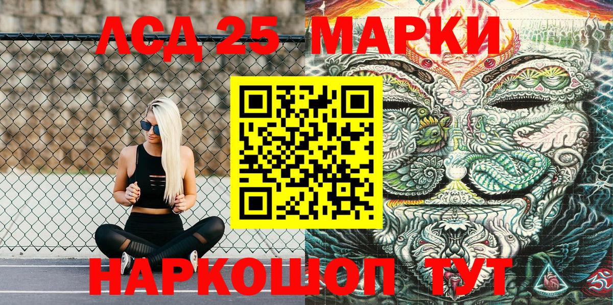 Сокол  Наркотические марки 1,5мг  Наркотические марки 1,5мг  где можно купить   Вход с VPN 