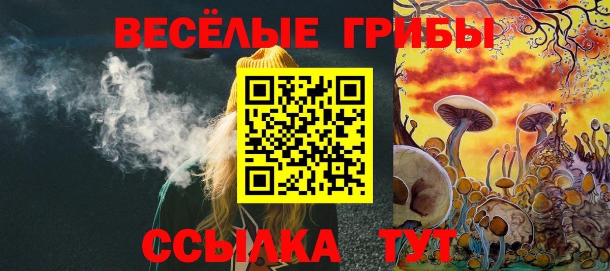 Псилоцибиновые грибы MAGIC MUSHROOMS Сокол