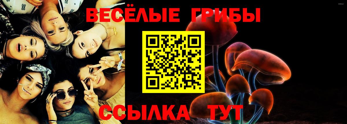 Сокол  Галлюциногенные грибы мухоморы  Вход с VPN 
