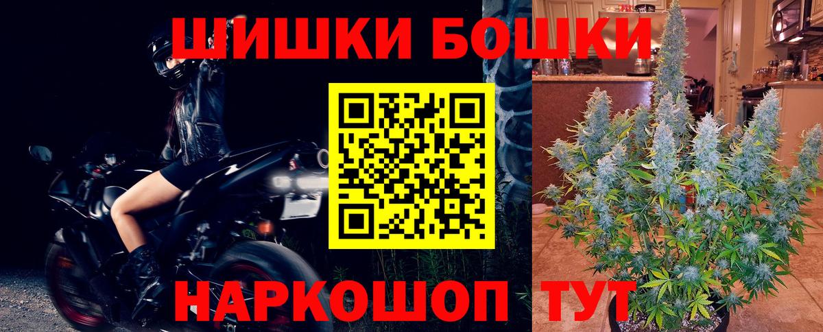 Шишки марихуана гибрид Сокол